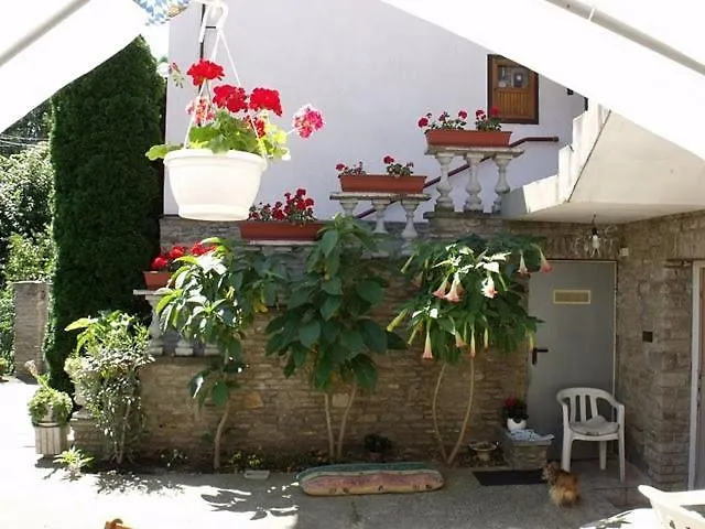 ゲストハウス Magdi Panzio ヘーヴィーズ