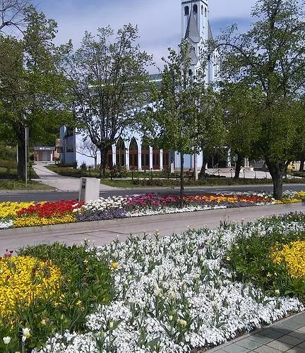 ゲストハウス Magdi Panzio 3*